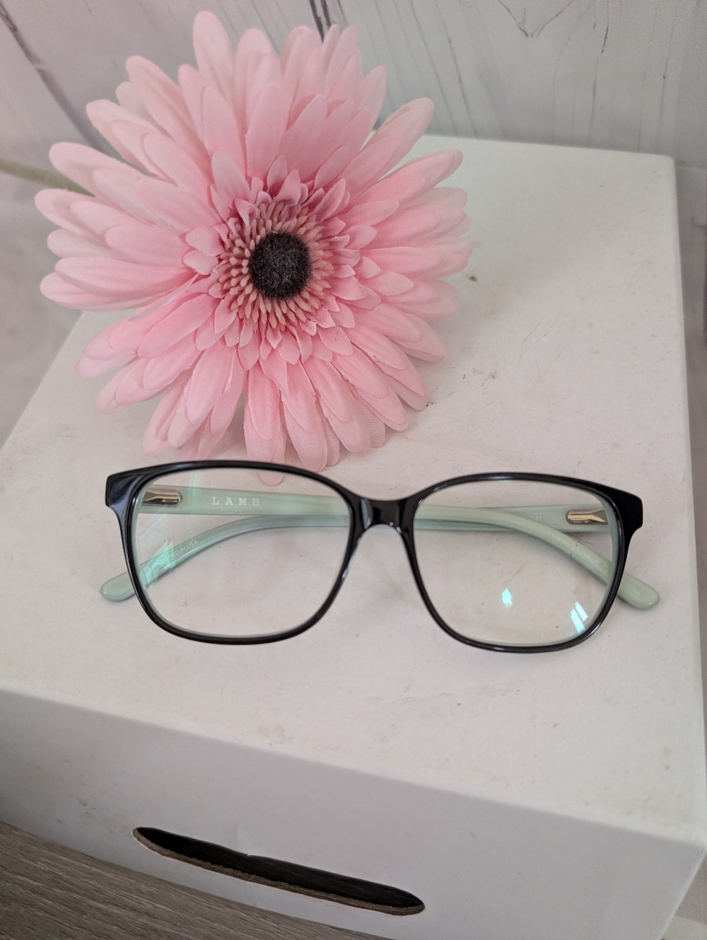 LAMB  Eyeglasses with Mint Arms